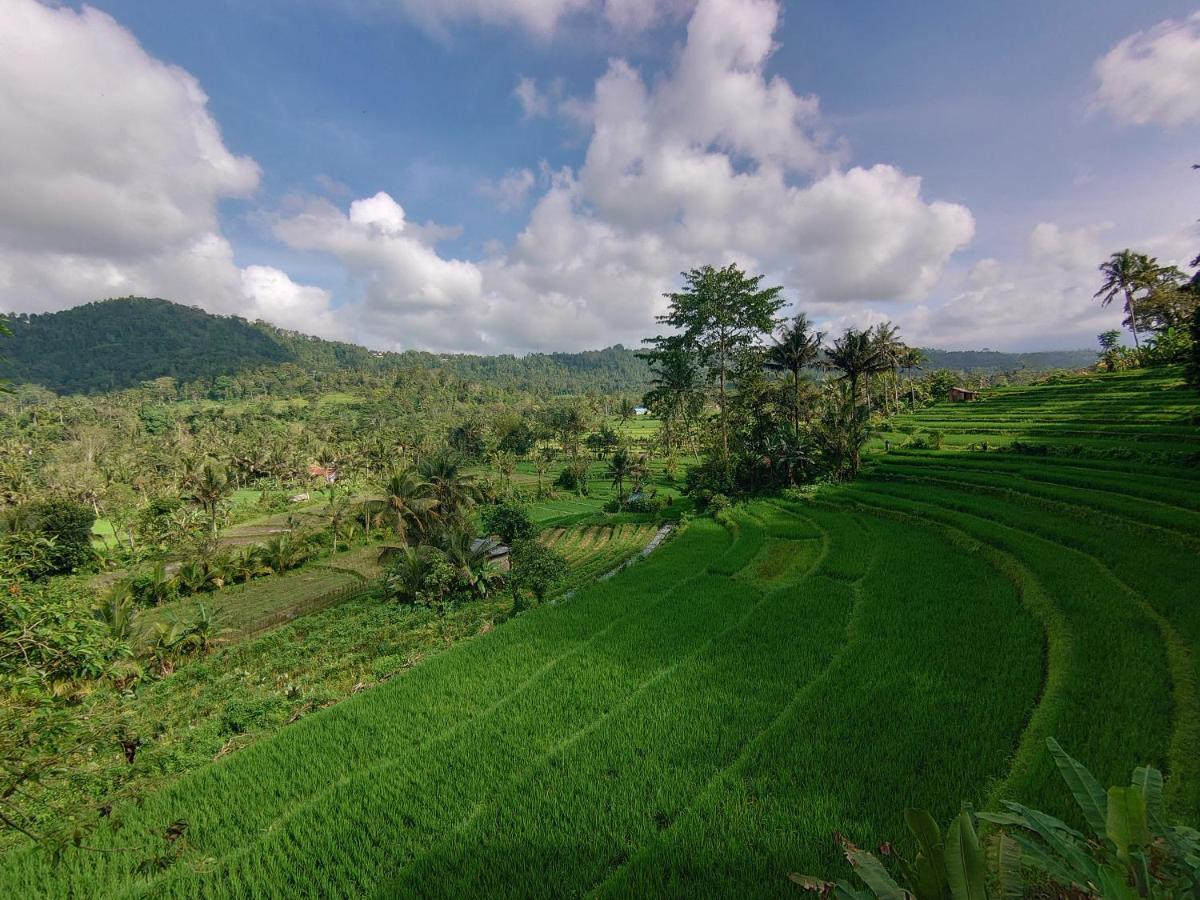 Homestay Abian View House *