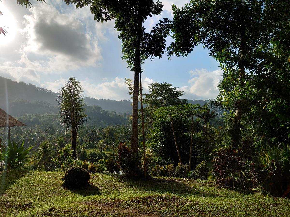 Abian View House Homestay