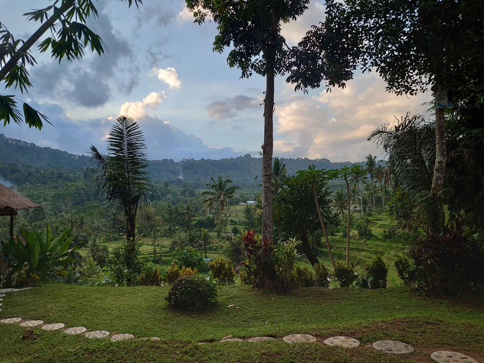Homestay Abian View House