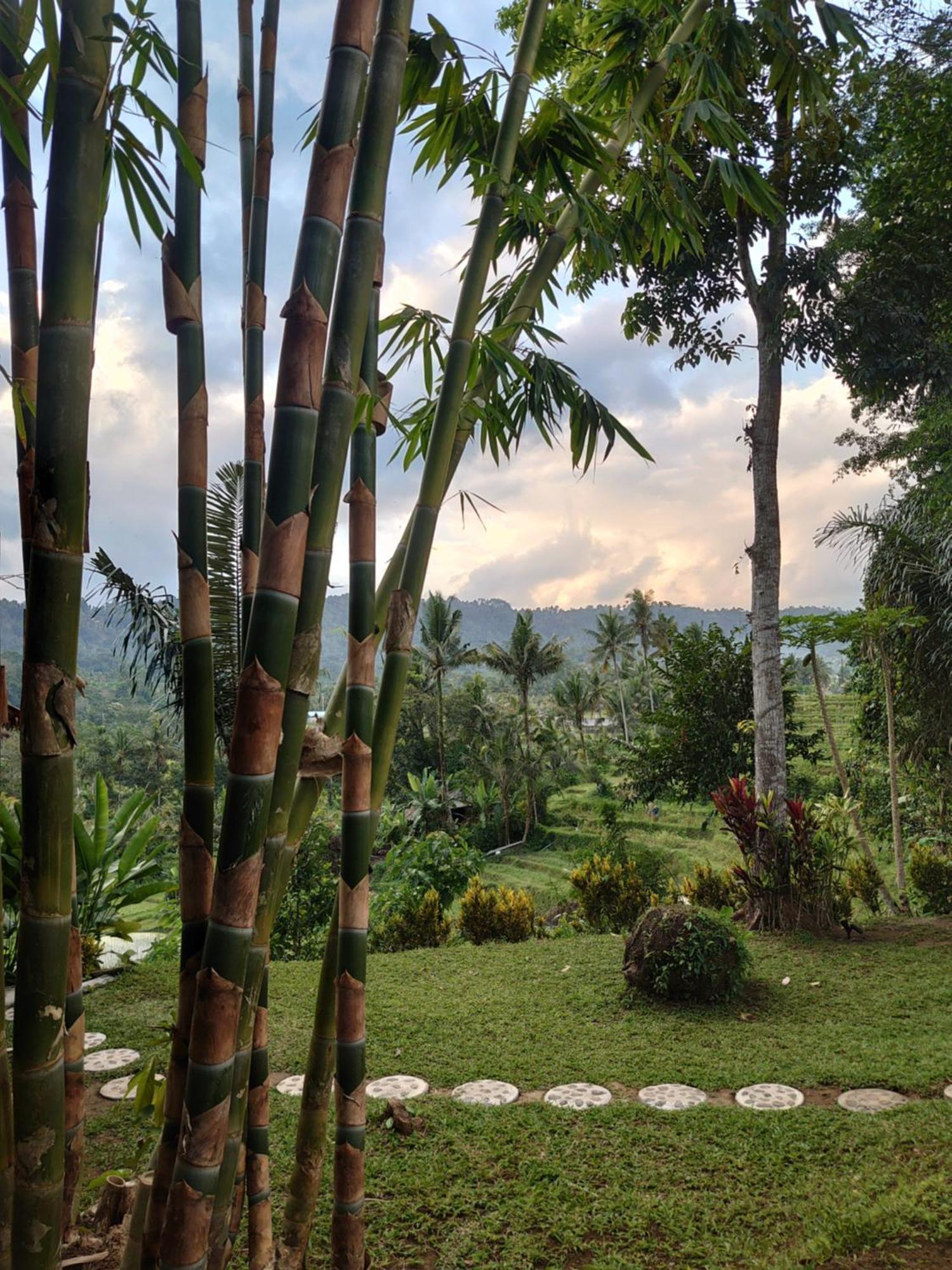 Abian View House Sidemen (Bali)