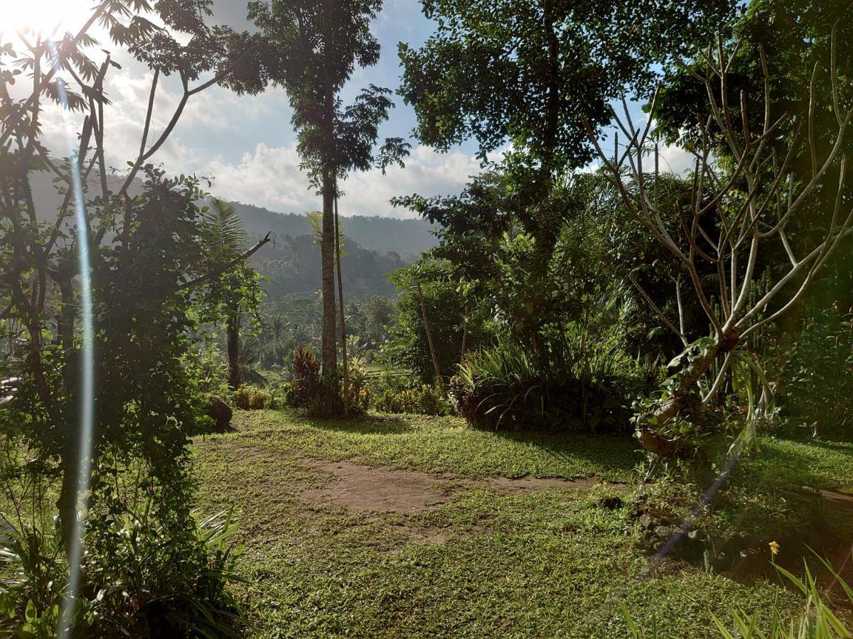 Abian View House *